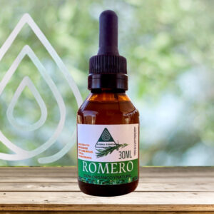 Bioextracto de Romero Compacto (Rosmarinus officinalis compactus)