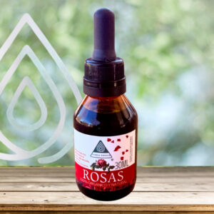 Bioextracto de Flor de Rosas (Rosa spp.)