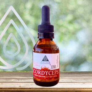 Bioextracto de Cordyceps (Cordyceps sinensis)